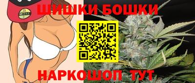 индика Гусь-Хрустальный