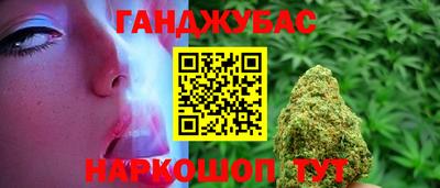 индика Гусь-Хрустальный