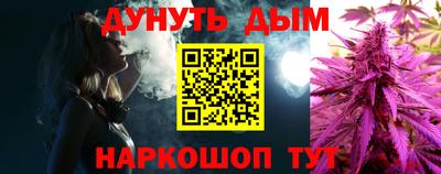 индика Гусь-Хрустальный